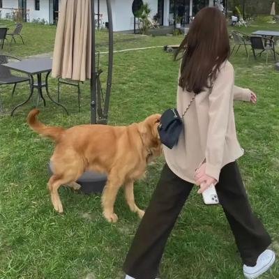 女将军李贞浴血浏阳河